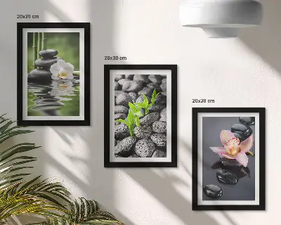 Bilderwand mit einer friedvollen Zen-Komposition aus Steinen und Blumen auf dem Wasser