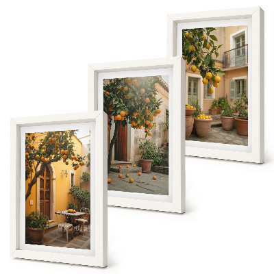 Bilderwand Ein Garten mit Zitrusbäumen in sonniger Lage