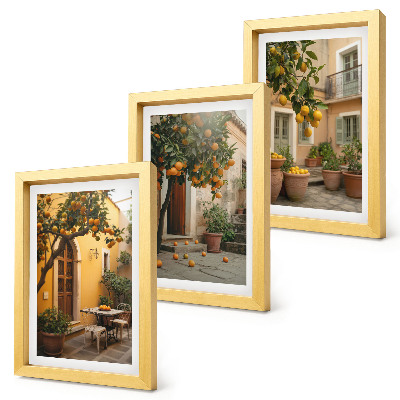 Bilderwand Ein Garten mit Zitrusbäumen in sonniger Lage