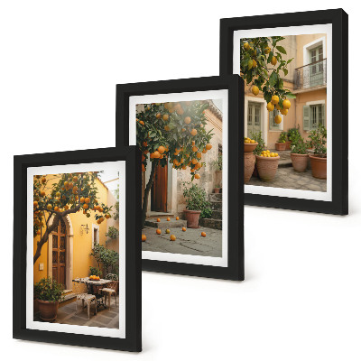 Bilderwand Ein Garten mit Zitrusbäumen in sonniger Lage