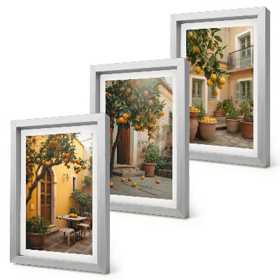 Bilderwand Ein Garten mit Zitrusbäumen in sonniger Lage