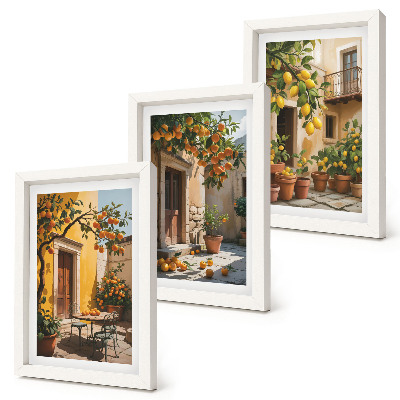 Bilderwand Zitrusfrüchte in einem sonnigen Innenhof mit Pflanzen