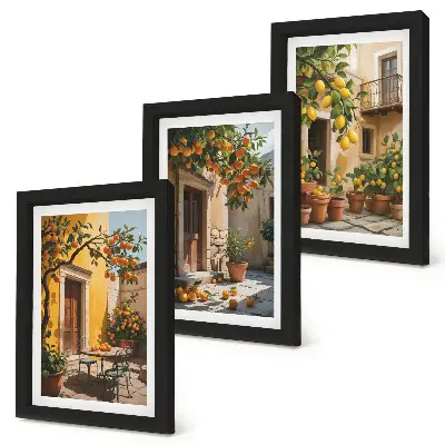 Bilderwand mit Zitrusfrüchten in einem sonnigen Innenhof mit Pflanzen