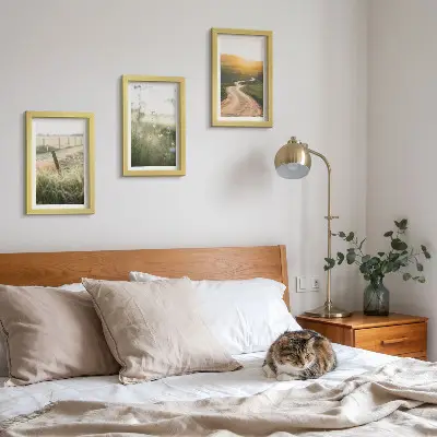 Bilderwand mit Landschaftsmotiv von Wiese, Straße und Sonnenuntergang