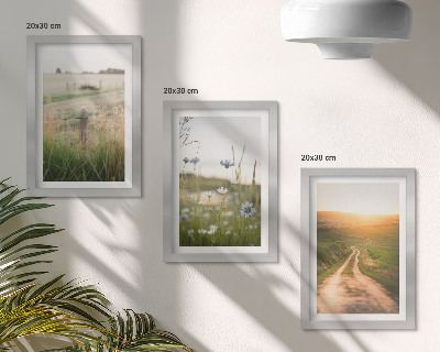 Bilderset mit rahmen Naturlandschaften mit Feldern und einem Weg in der Sonne