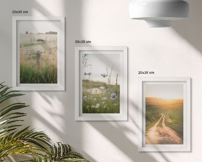 Bilderset mit rahmen Naturlandschaften mit Feldern und einem Weg in der Sonne