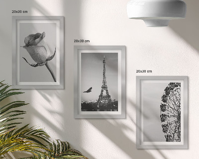 Bilderset mit rahmen Rosa Eiffelturm und Riesenrad in Monochrom