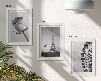 Bilderset mit rahmen Rosa Eiffelturm und Riesenrad in Monochrom