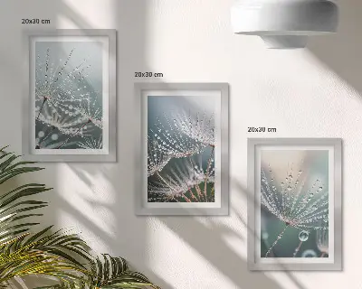 Bilderwand mit Wassertropfen auf den zarten Trieben des Löwenzahns