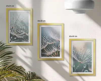 Bilderwand mit Wassertropfen auf den zarten Trieben des Löwenzahns