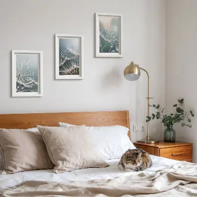 Bilderwand mit Wassertropfen auf den zarten Trieben des Löwenzahns