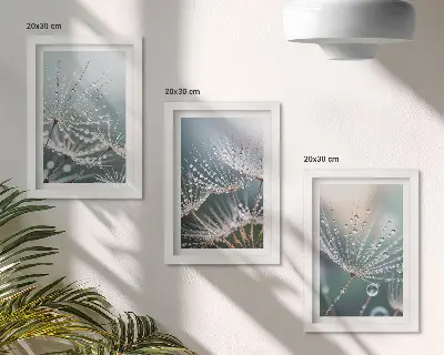 Bilderwand mit Wassertropfen auf den zarten Trieben des Löwenzahns