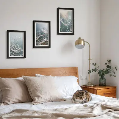 Bilderwand mit Wassertropfen auf den zarten Trieben des Löwenzahns