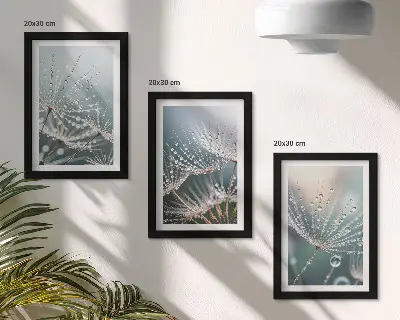 Bilderwand mit Wassertropfen auf den zarten Trieben des Löwenzahns
