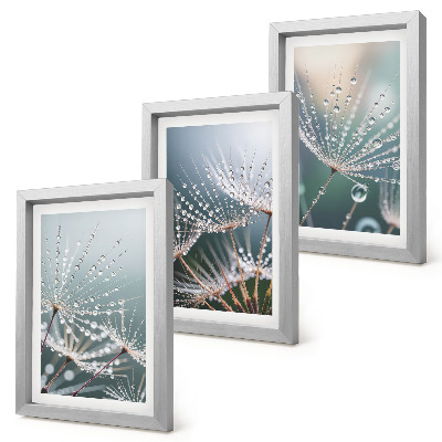 Bilderwand Wassertropfen auf den zarten Trieben des Löwenzahns
