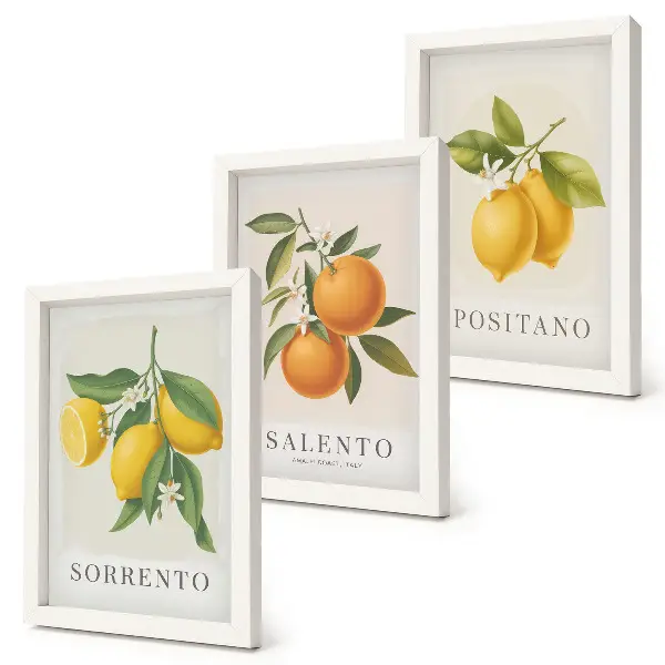 Bilderset mit Rahmen mit Zitronen und Orangen von der Amalfiküste in Italien