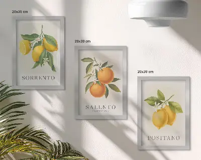 Bilderset mit Rahmen mit Zitronen und Orangen von der Amalfiküste in Italien
