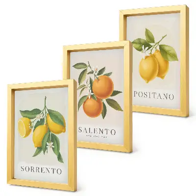 Bilderset mit Rahmen mit Zitronen und Orangen von der Amalfiküste in Italien