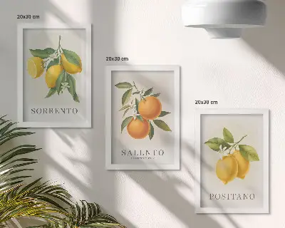 Bilderset mit Rahmen mit Zitronen und Orangen von der Amalfiküste in Italien