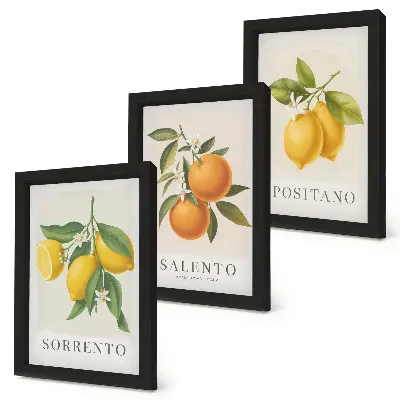 Bilderset mit Rahmen mit Zitronen und Orangen von der Amalfiküste in Italien