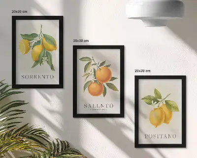 Bilderset mit Rahmen mit Zitronen und Orangen von der Amalfiküste in Italien
