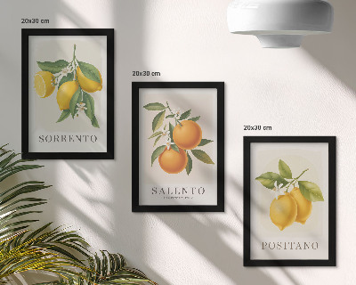 Bilderset mit rahmen Zitronen und Orangen von der Amalfiküste in Italien