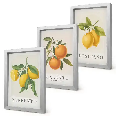 Bilderset mit Rahmen mit Zitronen und Orangen von der Amalfiküste in Italien