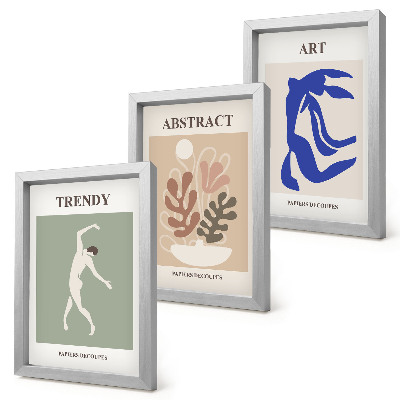 Bilderwand Stilvolle Figuren- und Pflanzenposter von Henri Matisse