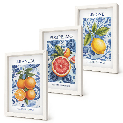 Bilderwand Vintage-Illustrationen von Zitrusfrüchten