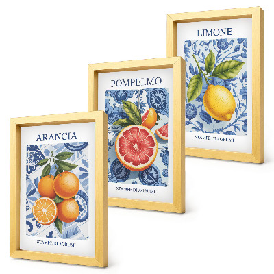 Bilderwand Vintage-Illustrationen von Zitrusfrüchten