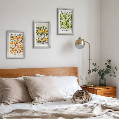 Bilderwand mit Zitrusfrüchten in verschiedenen farbenfrohen und frischen Varianten