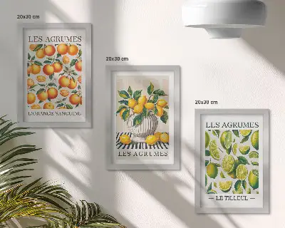 Bilderwand mit Zitrusfrüchten in verschiedenen farbenfrohen und frischen Varianten