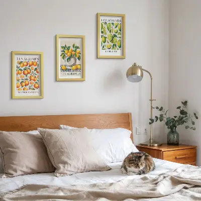 Bilderwand mit Zitrusfrüchten in verschiedenen farbenfrohen und frischen Varianten