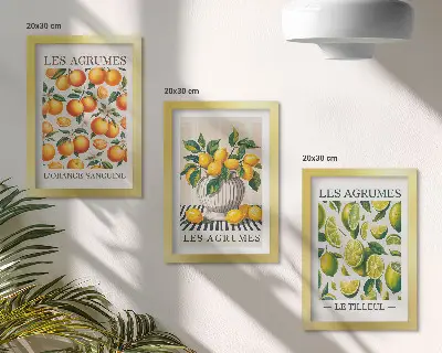 Bilderwand mit Zitrusfrüchten in verschiedenen farbenfrohen und frischen Varianten