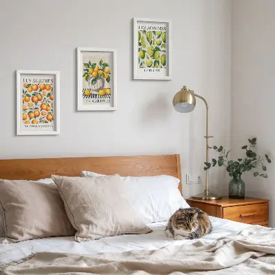 Bilderwand mit Zitrusfrüchten in verschiedenen farbenfrohen und frischen Varianten