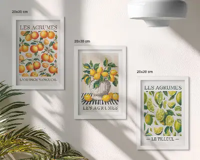 Bilderwand mit Zitrusfrüchten in verschiedenen farbenfrohen und frischen Varianten