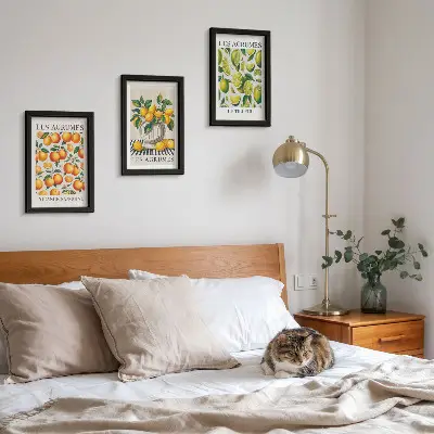 Bilderwand mit Zitrusfrüchten in verschiedenen farbenfrohen und frischen Varianten