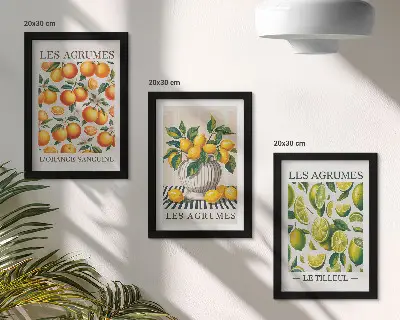 Bilderwand mit Zitrusfrüchten in verschiedenen farbenfrohen und frischen Varianten