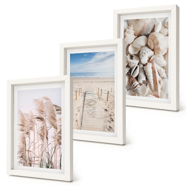 Bilderset mit rahmen Sandstrand mit Muscheln und Seegras