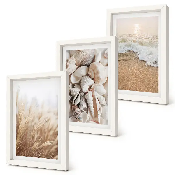 Bilderwand mit Strandmotiven, Muscheln und Meereswellen