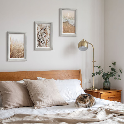 Bilderwand Strandmotive mit Muscheln und Meereswellen