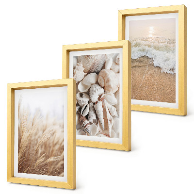 Bilderwand Strandmotive mit Muscheln und Meereswellen