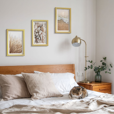 Bilderwand Strandmotive mit Muscheln und Meereswellen