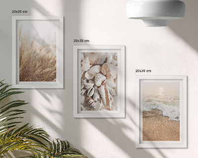 Bilderwand Strandmotive mit Muscheln und Meereswellen