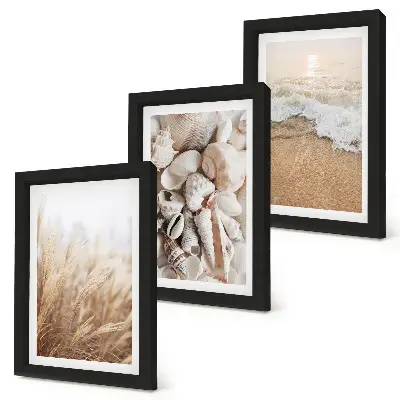 Bilderwand mit Strandmotiven, Muscheln und Meereswellen