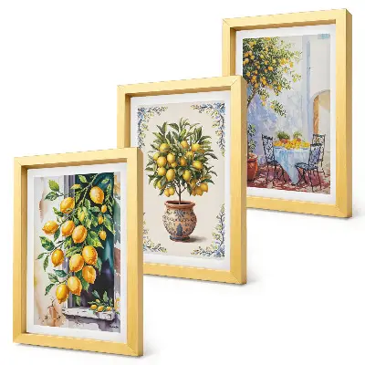 Bilderwand mit Motiv Zitronenbäume und Früchte in sonniger Lage