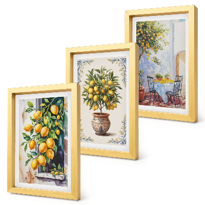 Bilderwand Zitronenbäume und Früchte in sonniger Lage