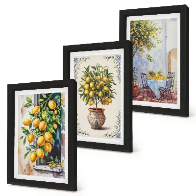 Bilderwand mit Motiv Zitronenbäume und Früchte in sonniger Lage