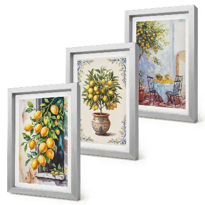 Bilderwand mit Motiv Zitronenbäume und Früchte in sonniger Lage