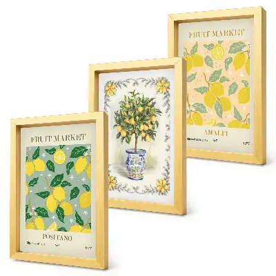 Italienische Poster mit Zitrusbäumen und Früchten als gerahmtes Bilderset